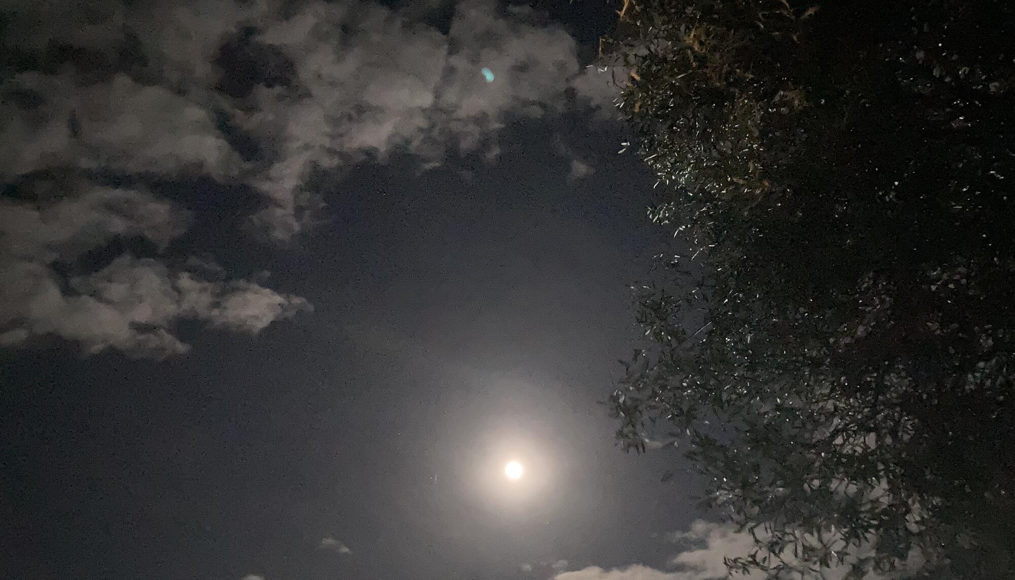Fotografía noche